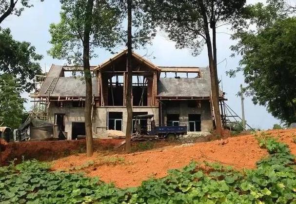 自家树地可以建房吗