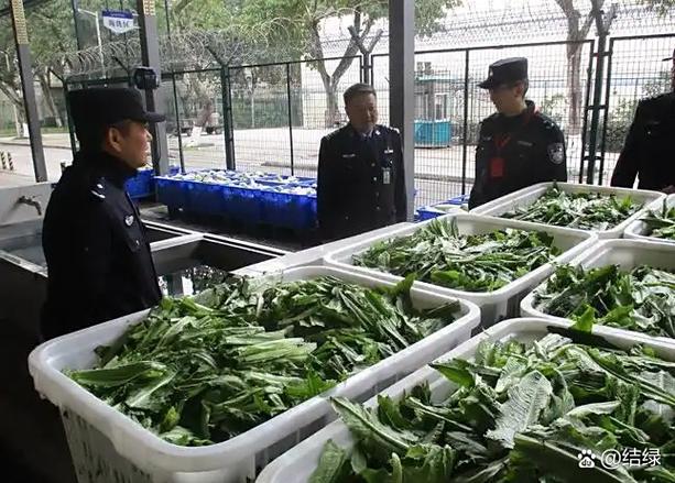 送菜上门的失败原因