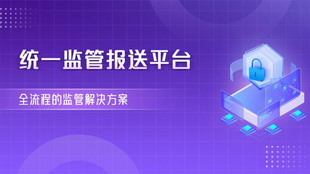 统一监管报送平台