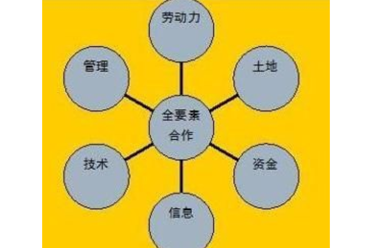 下面哪些选项属于要素市场