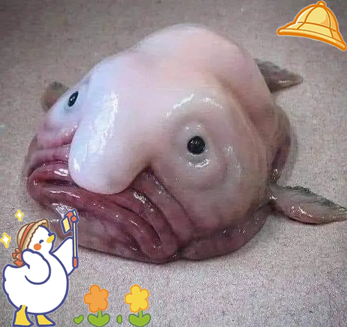 水滴鱼可爱