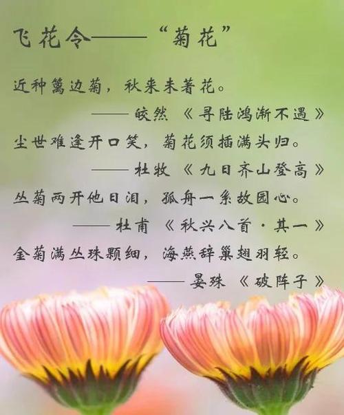 花的诗句截图2