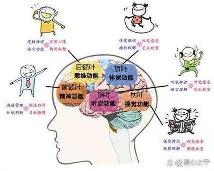 长期下象棋对大脑的影响