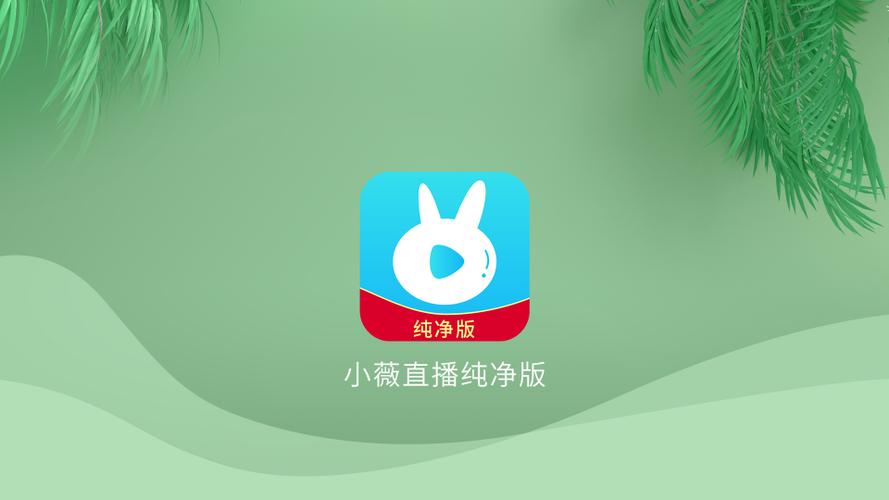 手机给电视安装小薇直播