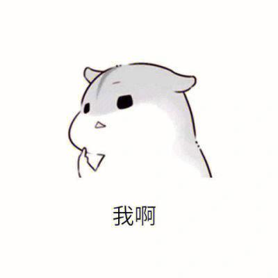 小仓鼠嘿嘿表情包出处