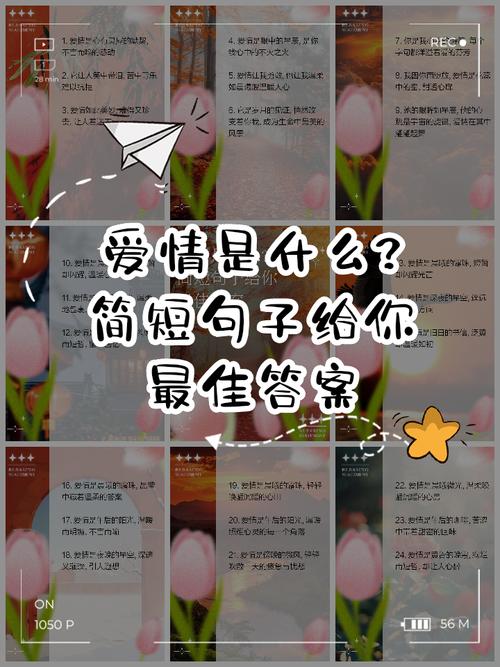 爱情是什么最佳回答句子