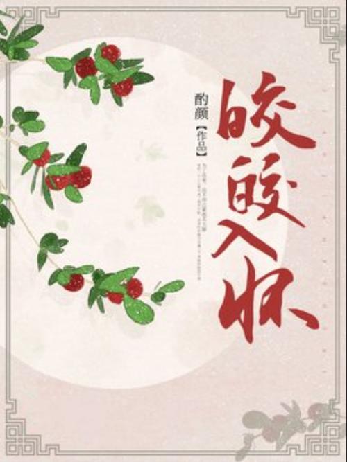 皎皎入怀txt