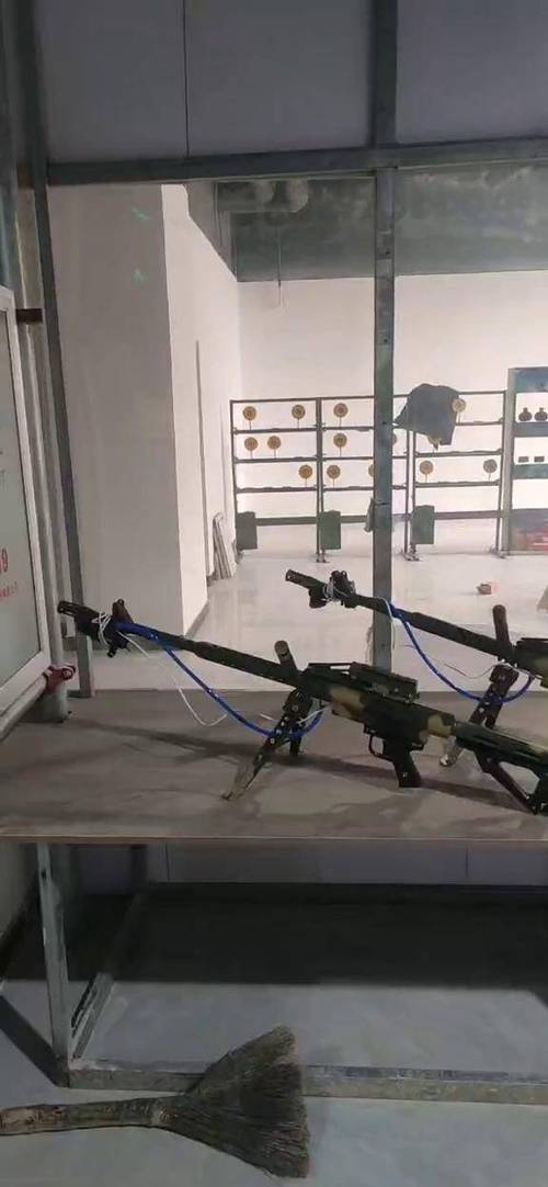 景区射击打靶游戏截图3