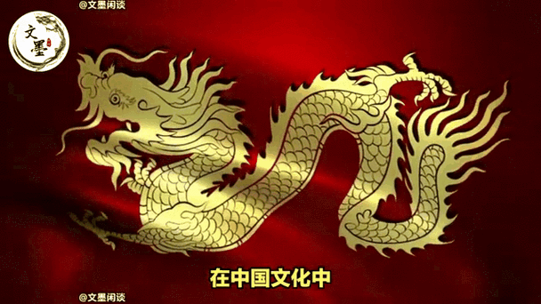 1988年是土龙还是木龙