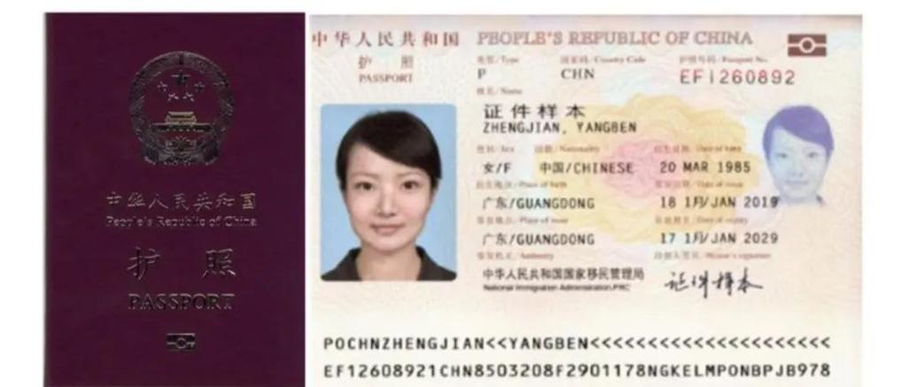 护照照片的电子版下载