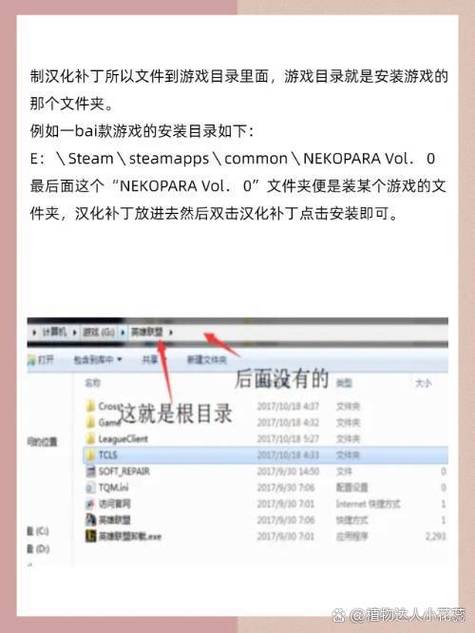 如何将汉化包放入游戏目录