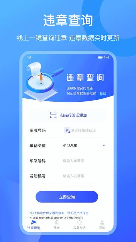 输入车牌号查询违章