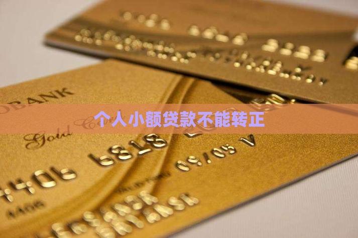 自己的贷款能不能转入别人名下