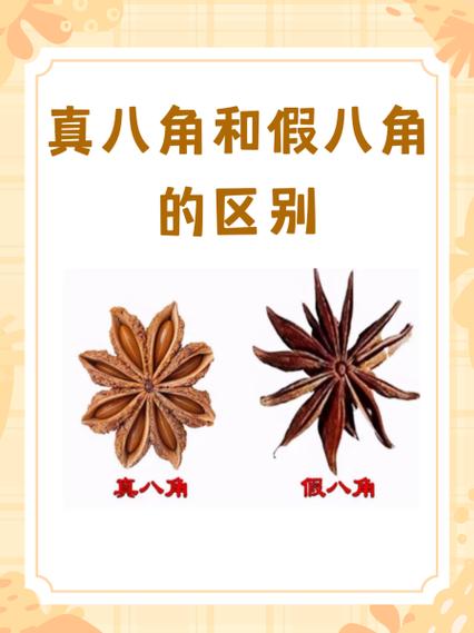 真假八角如何辩