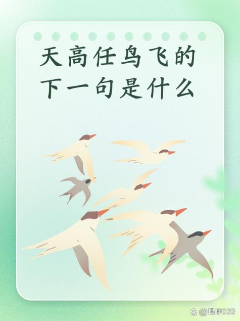 慢飞天使是什么意思