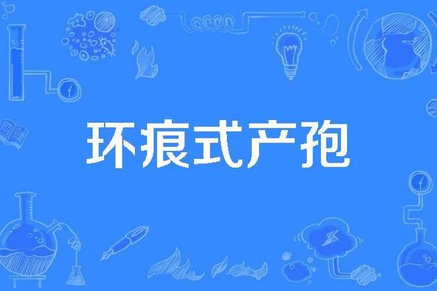 coni是什么意思