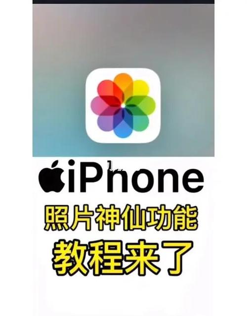 苹果手机九宫格开启方法