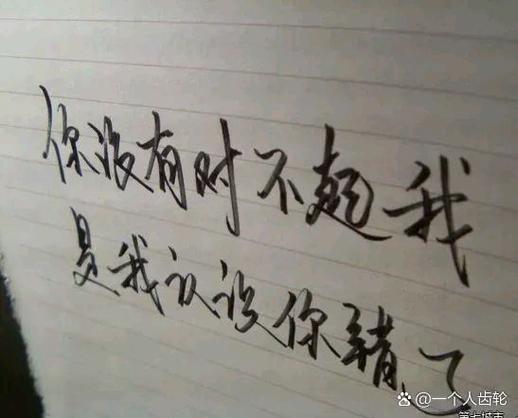 给了你全部的感情
