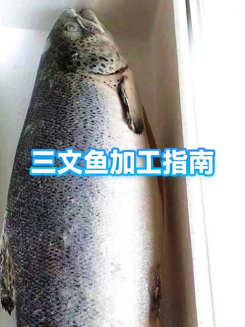 三文鱼解冻