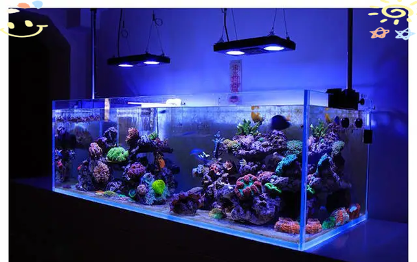 森森鱼缸灯光设置截图2
