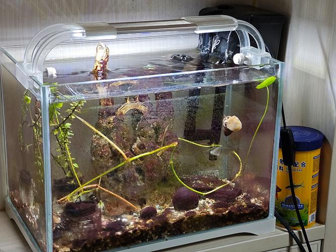 森森鱼缸灯光设置截图3