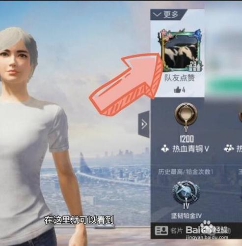 和平精英更换形象