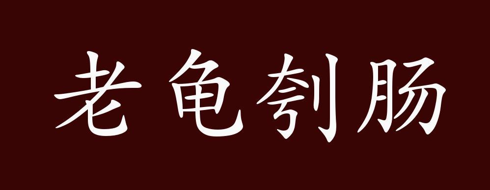 乌龟成语最火的一句
