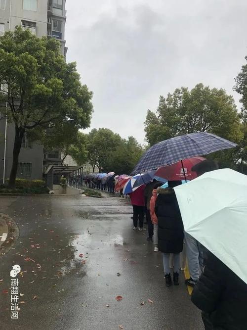 春雨直播免费视频直播免排队截图2