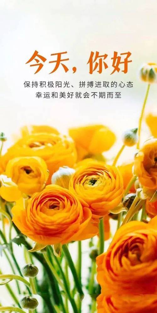 早上发朋友圈的文案