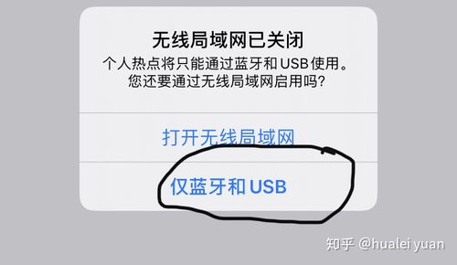 苹果连电脑usb上网