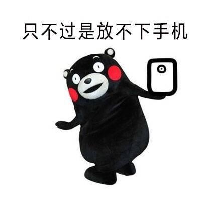 为啥看手机停不下