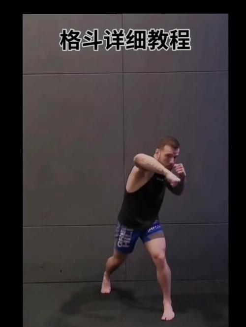 自由搏击格斗式姿势