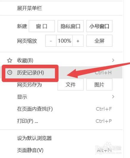 浏览器记录删除了还能恢复吗