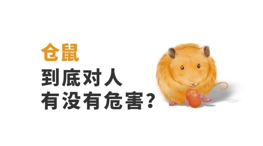 卧室养仓鼠对人有害吗
