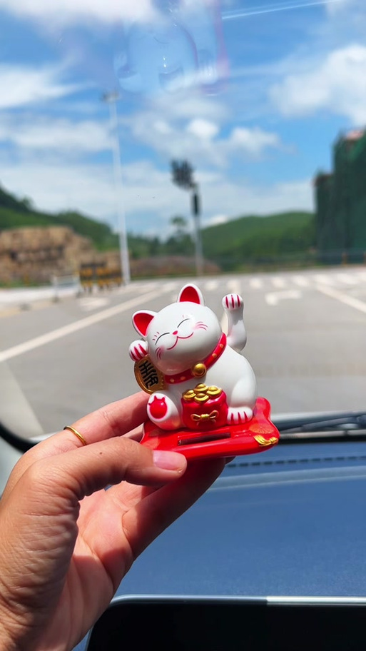 小猫招财寻宝视频