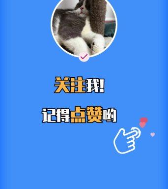 双击加关注下一句幽默回答