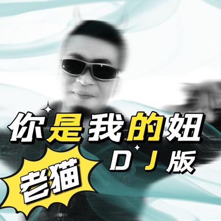dj版的你是我的妞