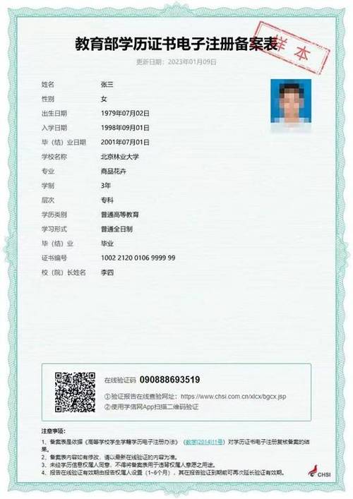学信网学籍在线验证报告怎么下载