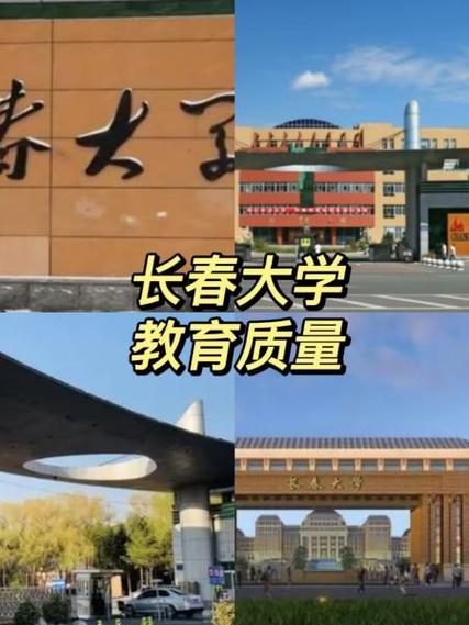 长春大学网络教学平台