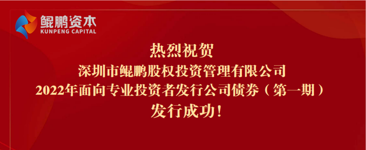 鲲鹏投资管理有限公司