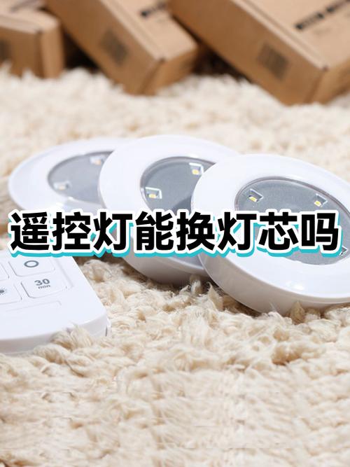 带遥控器的灯容易坏吗截图2