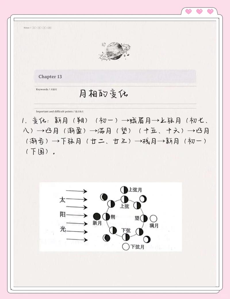 月影仙多少级带的