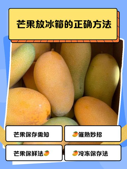 芒果是冬季水果吗截图3