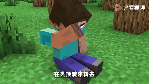 我的世界受伤的him
