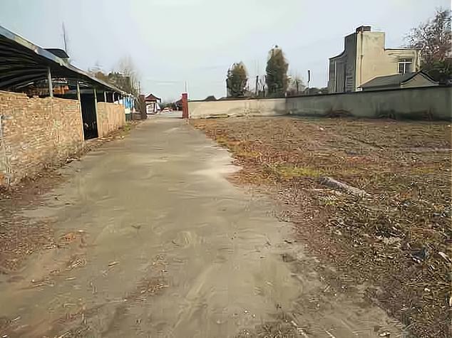 空地能做什么最赚钱