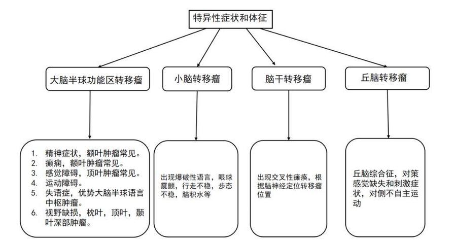 肿瘤多步骤转移机制