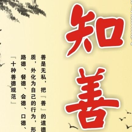 众善截图3