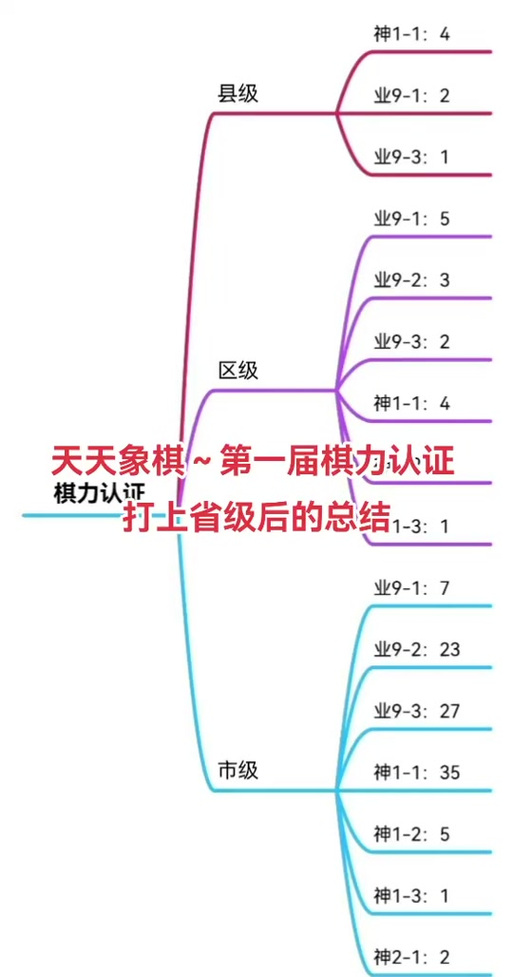 象棋1到9级一览表