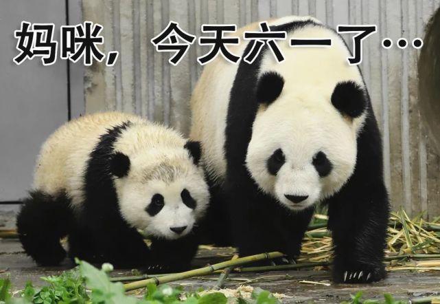 儿童节专属熊猫表情包