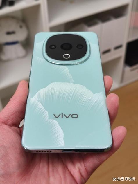 为什么vivo只能显示一张卡